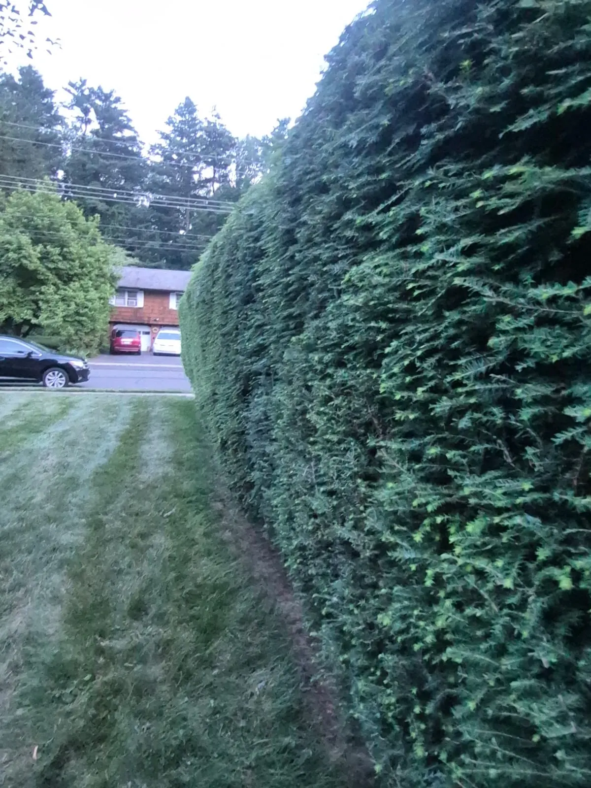 Wide view of finished exterior entry work