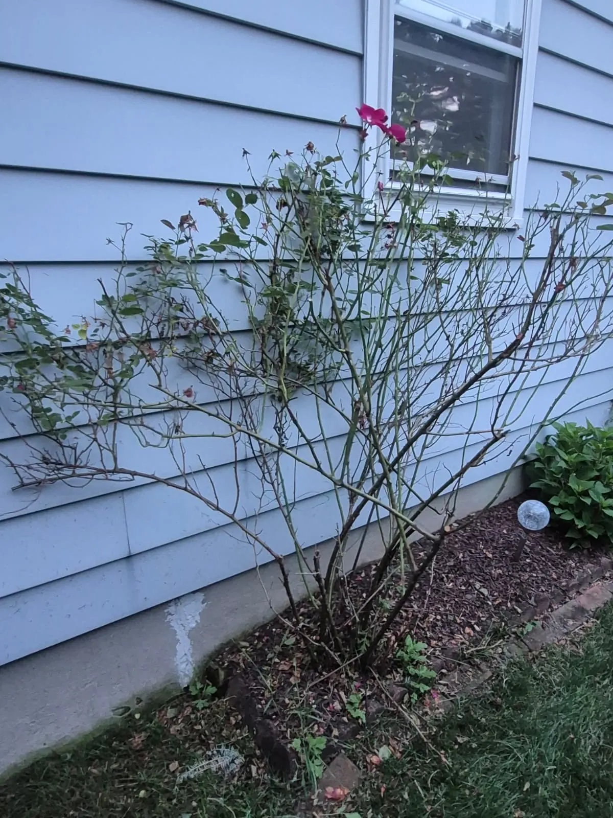 Clean exterior side entry and landing