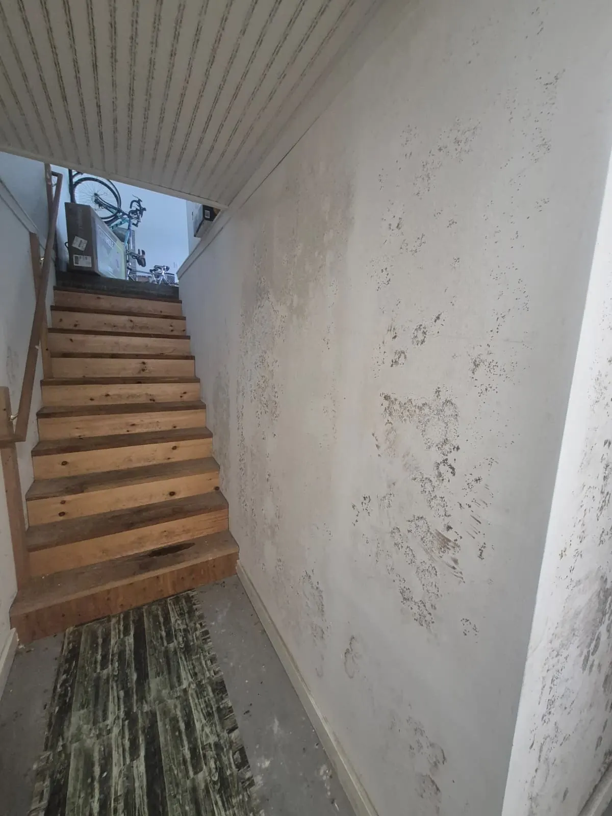 Front entry steps with a clean finished surface
