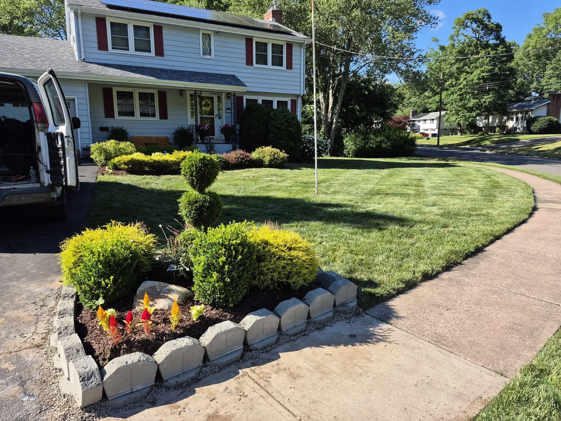 Shaped shrubs and landscape bed
