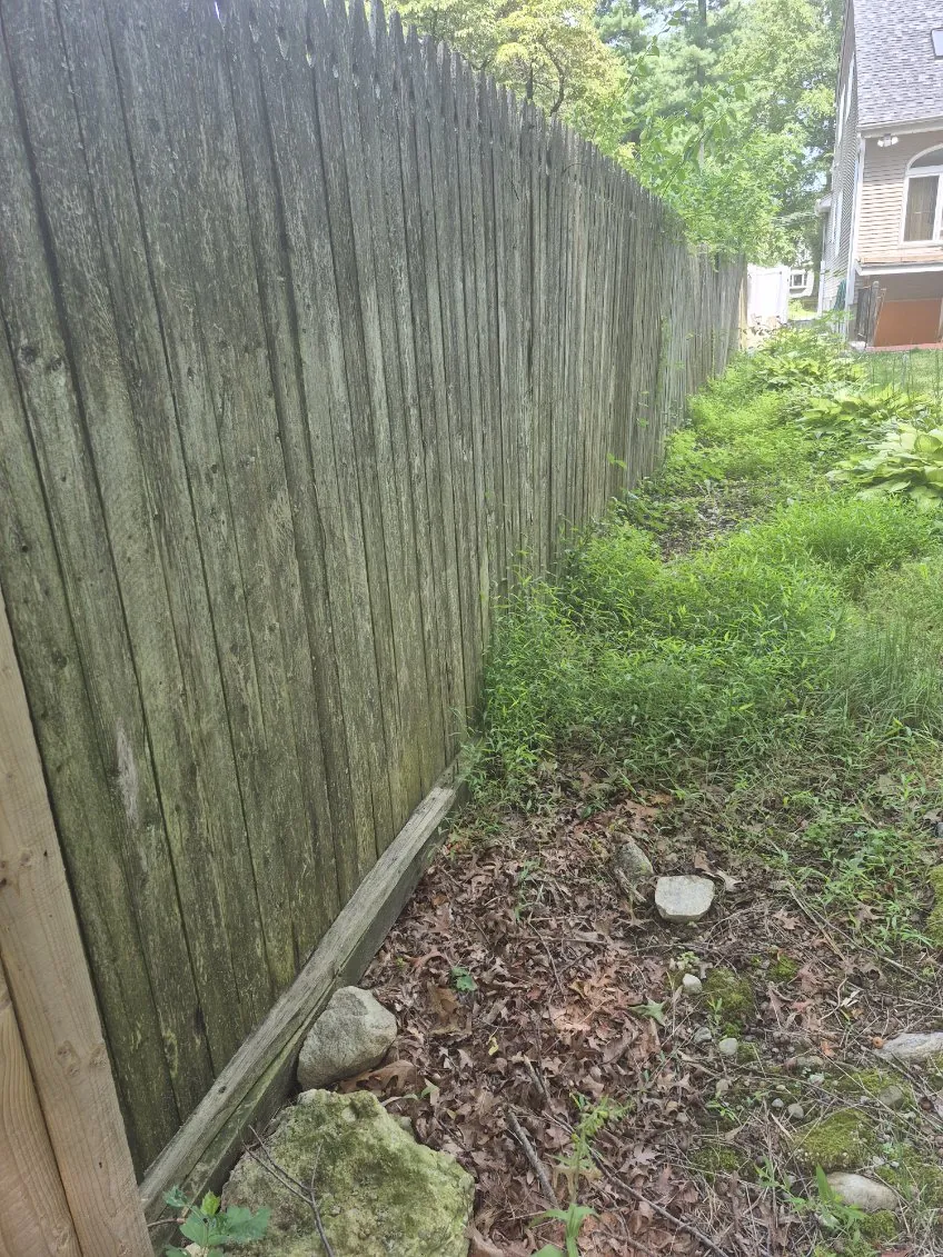 Fence replacement — before
