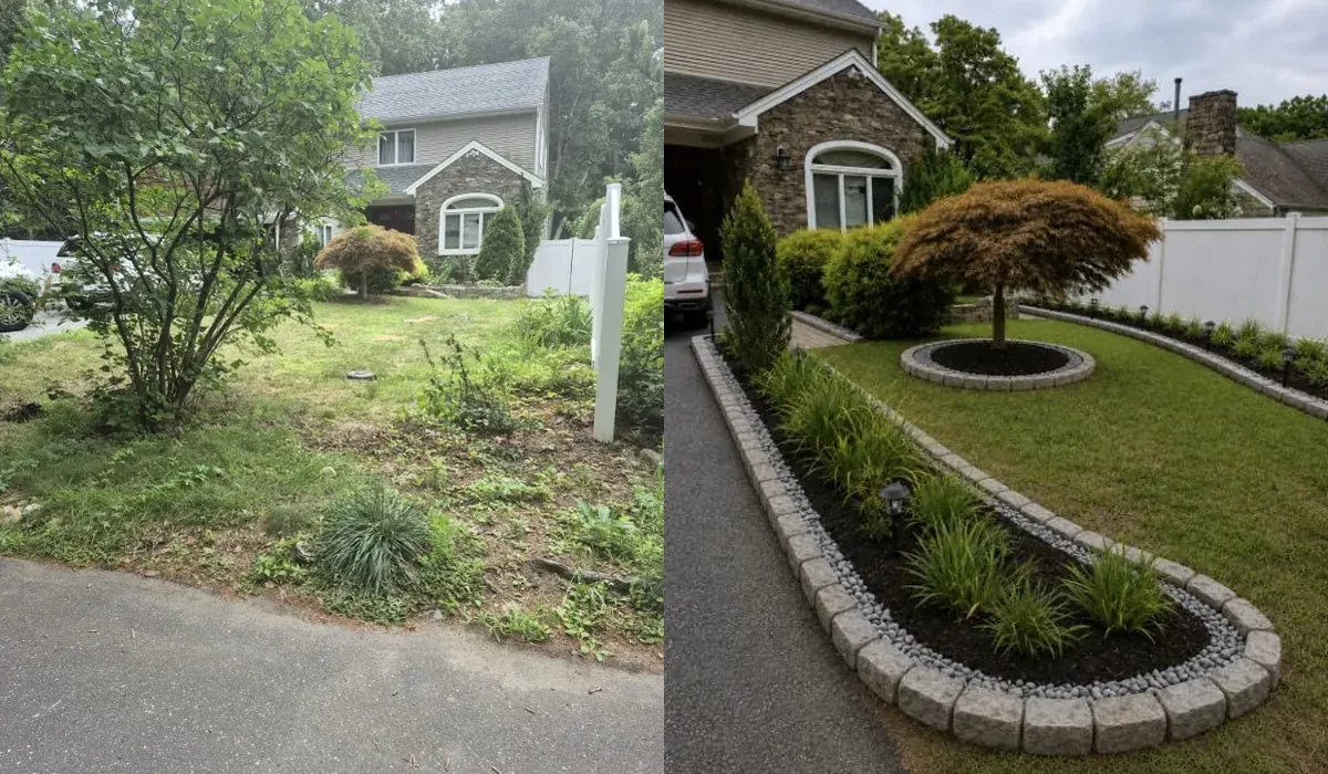 Landscape design and build — before / after