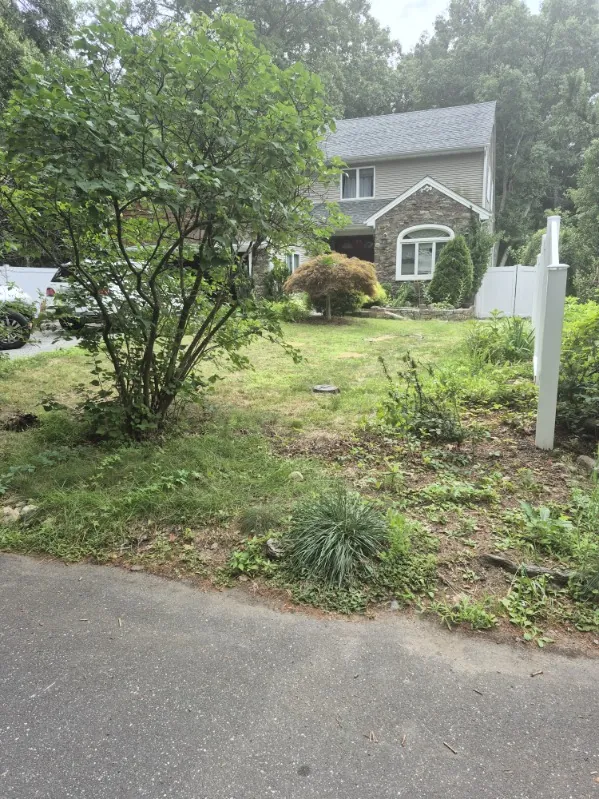 Landscape project — before