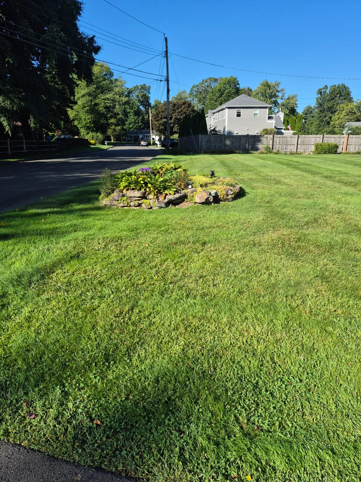 Residential lawn and planting area